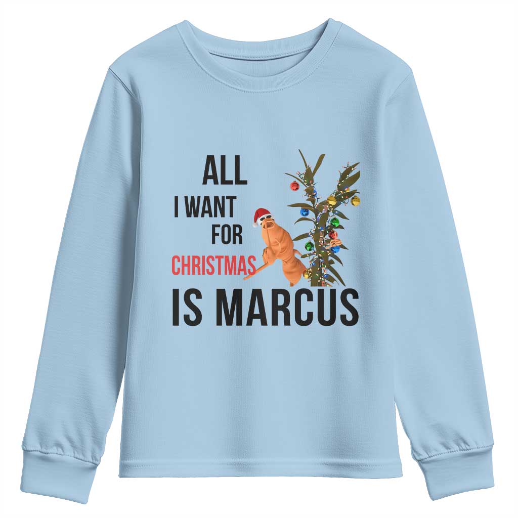Marcus The Worm Robert Meme Youth Sweatshirt All I Want For Christmas Is Marcus - Wonder Print Shop