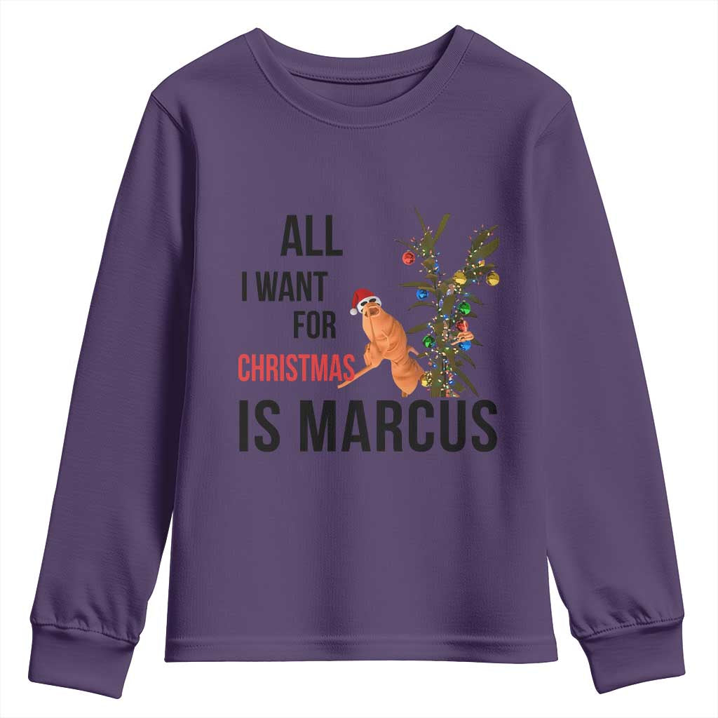 Marcus The Worm Robert Meme Youth Sweatshirt All I Want For Christmas Is Marcus - Wonder Print Shop