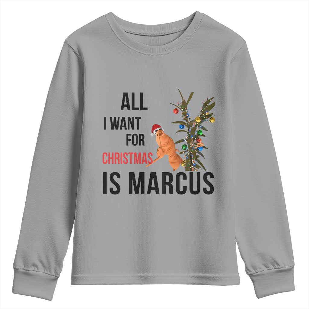 Marcus The Worm Robert Meme Youth Sweatshirt All I Want For Christmas Is Marcus - Wonder Print Shop