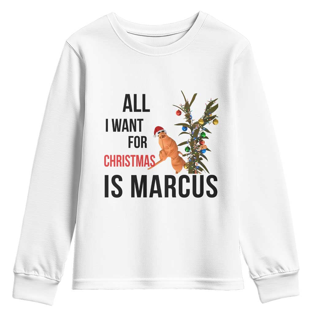 Marcus The Worm Robert Meme Youth Sweatshirt All I Want For Christmas Is Marcus - Wonder Print Shop