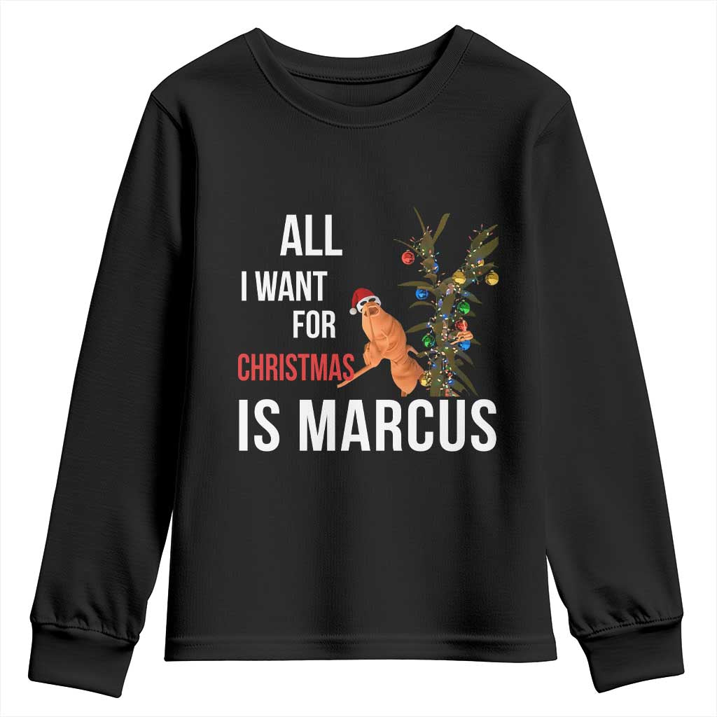 Marcus The Worm Robert Christmas Meme Youth Sweatshirt All I Want For Xmas Is Marcus - Wonder Print Shop