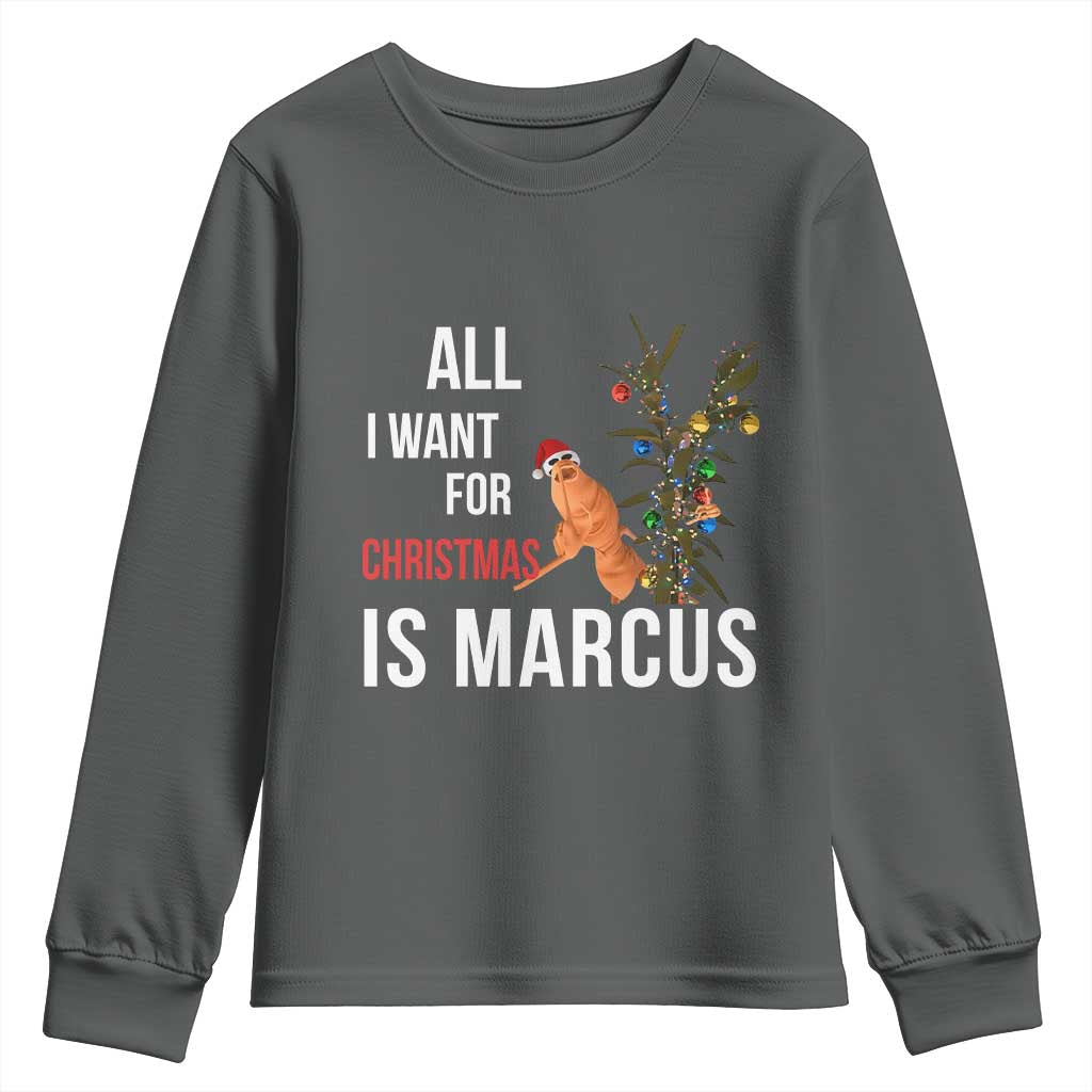 Marcus The Worm Robert Christmas Meme Youth Sweatshirt All I Want For Xmas Is Marcus - Wonder Print Shop