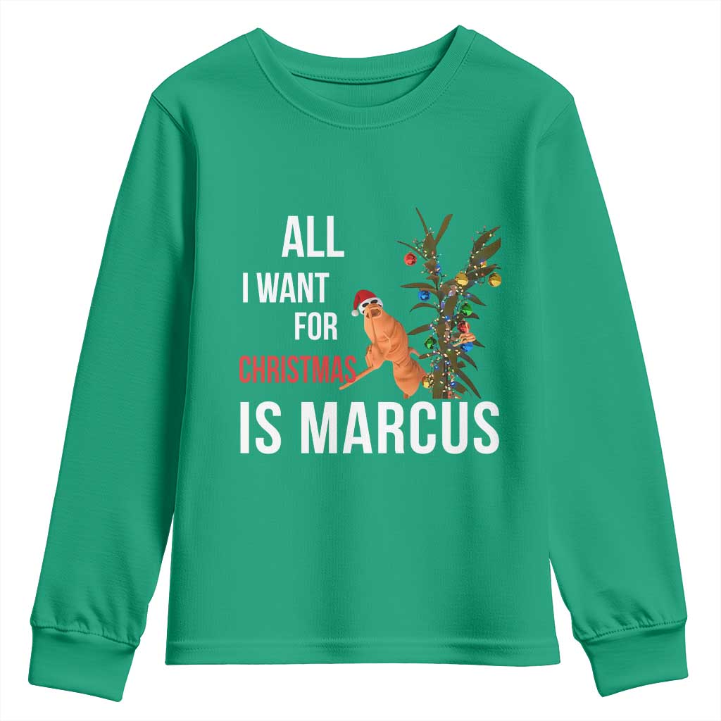 Marcus The Worm Robert Christmas Meme Youth Sweatshirt All I Want For Xmas Is Marcus - Wonder Print Shop