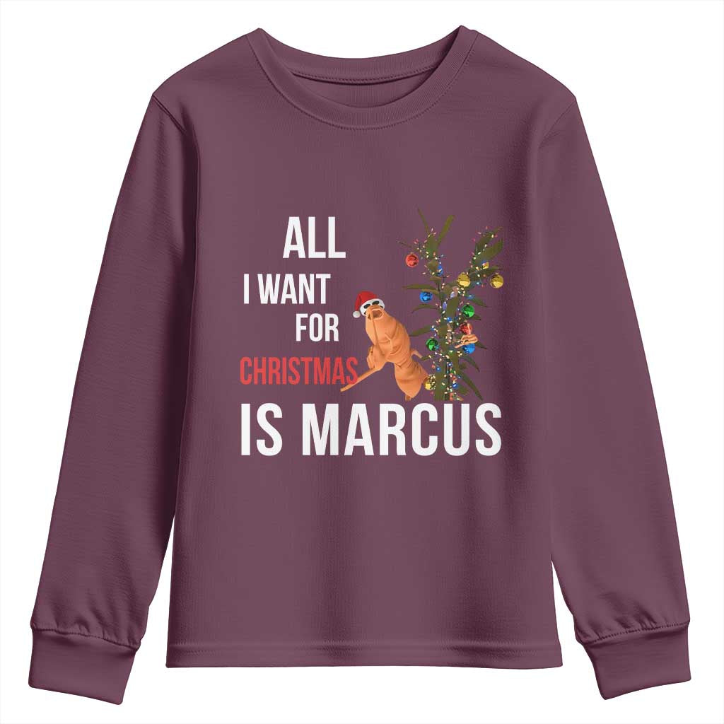 Marcus The Worm Robert Christmas Meme Youth Sweatshirt All I Want For Xmas Is Marcus - Wonder Print Shop