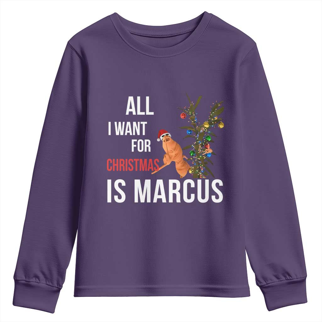 Marcus The Worm Robert Christmas Meme Youth Sweatshirt All I Want For Xmas Is Marcus - Wonder Print Shop