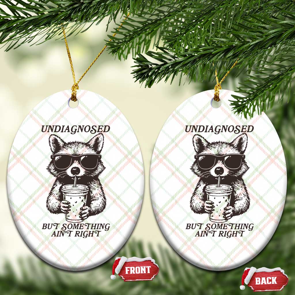 Undiagnosed But Something Aint Right Ceramic Ornament Funny Racoon Saying - Wonder Print Shop