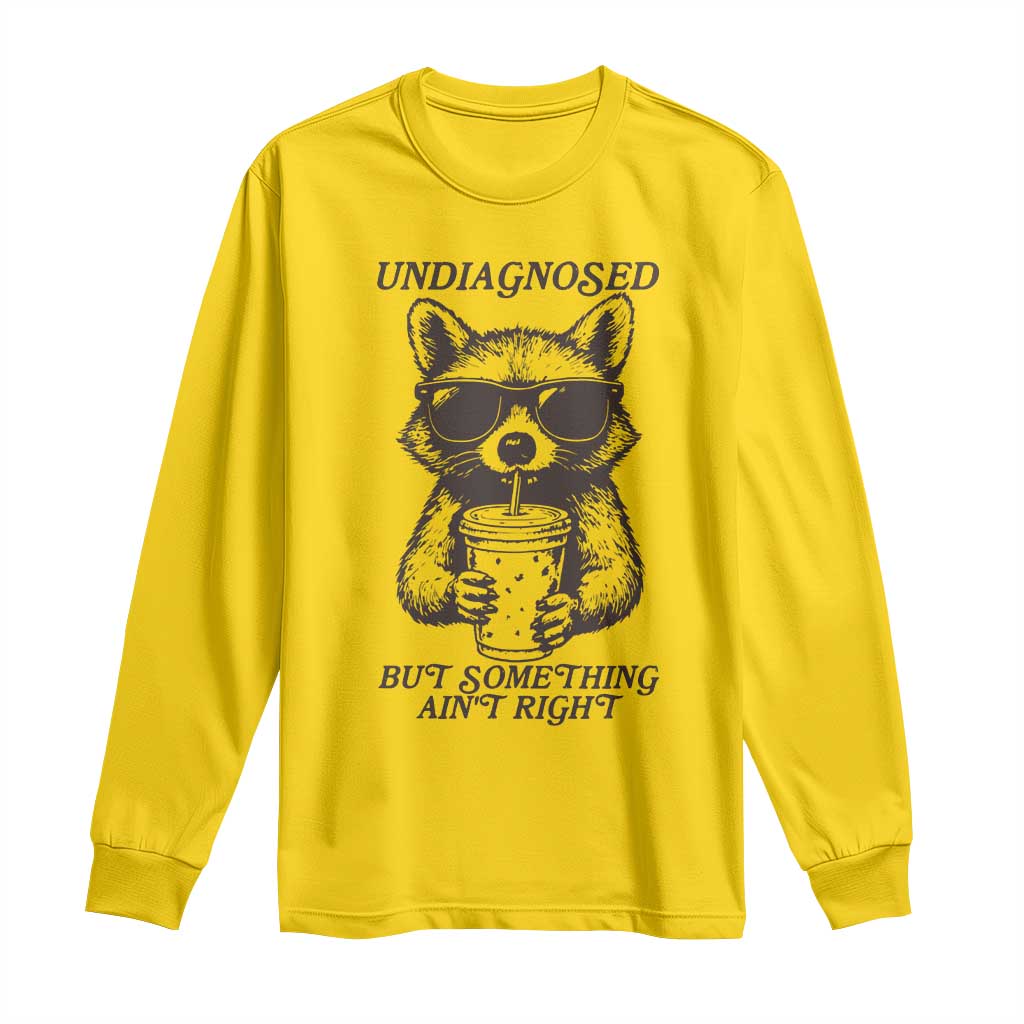 Undiagnosed But Something Aint Right Long Sleeve Shirt Funny Racoon Saying - Wonder Print Shop