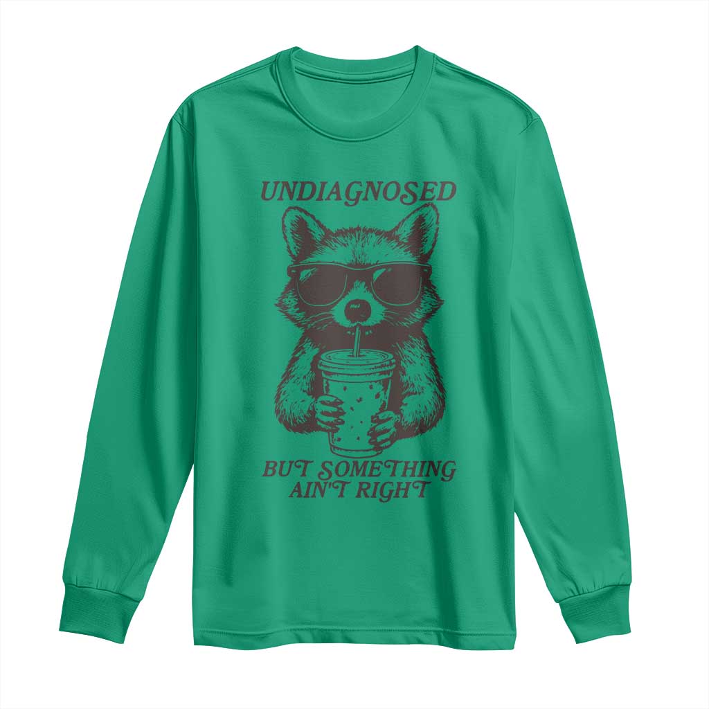 Undiagnosed But Something Aint Right Long Sleeve Shirt Funny Racoon Saying - Wonder Print Shop