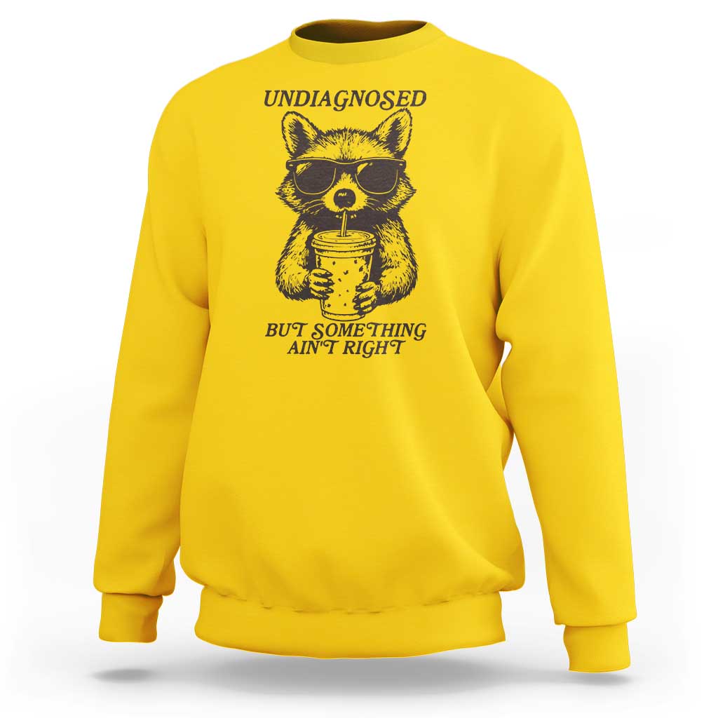 Undiagnosed But Something Aint Right Sweatshirt Funny Racoon Saying - Wonder Print Shop