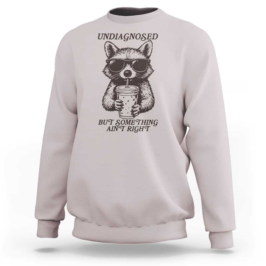 Undiagnosed But Something Aint Right Sweatshirt Funny Racoon Saying - Wonder Print Shop