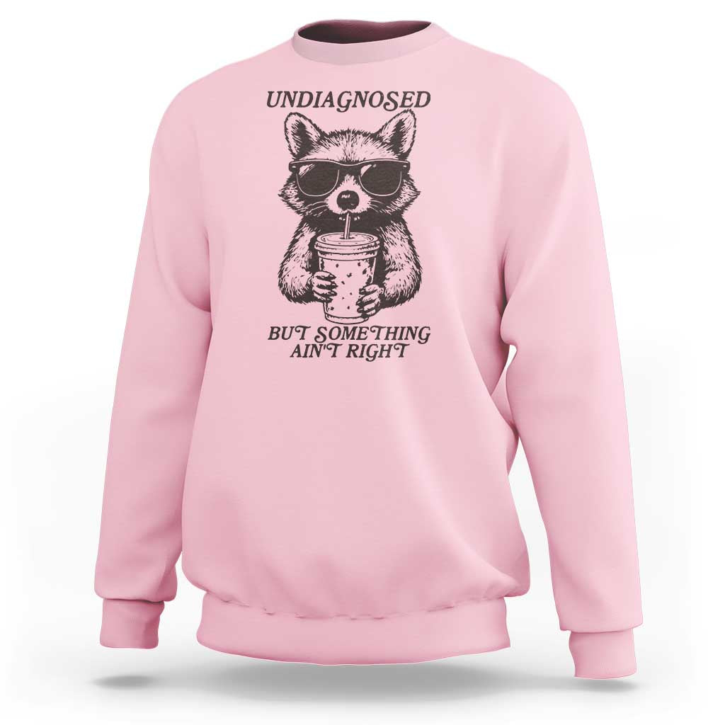Undiagnosed But Something Aint Right Sweatshirt Funny Racoon Saying - Wonder Print Shop