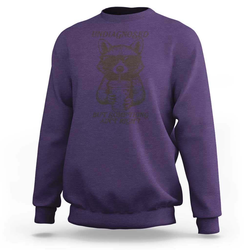 Undiagnosed But Something Aint Right Sweatshirt Funny Racoon Saying - Wonder Print Shop