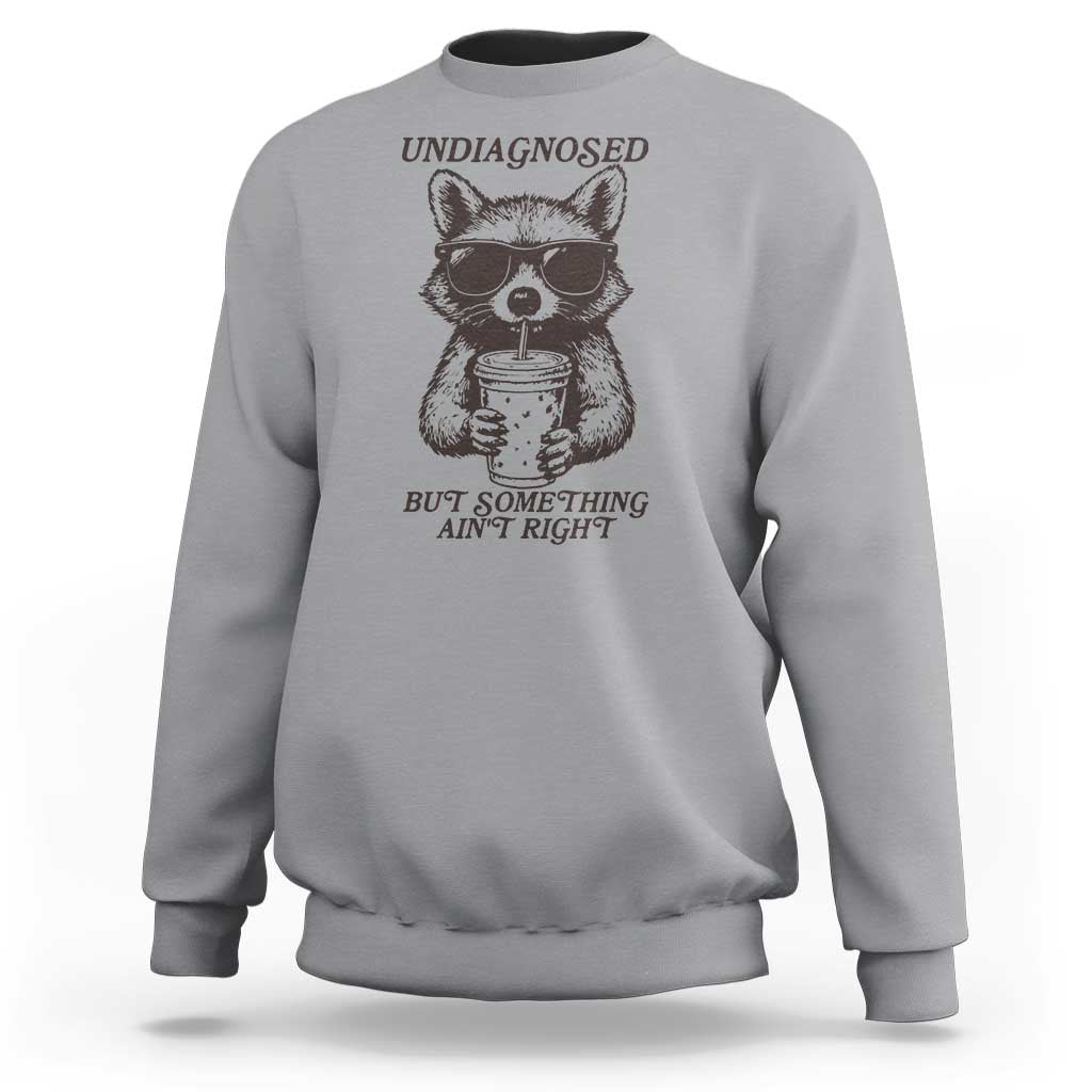 Undiagnosed But Something Aint Right Sweatshirt Funny Racoon Saying - Wonder Print Shop