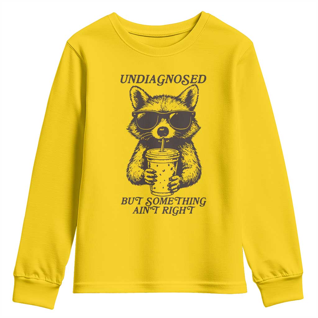 Undiagnosed But Something Aint Right Youth Sweatshirt Funny Racoon Saying - Wonder Print Shop