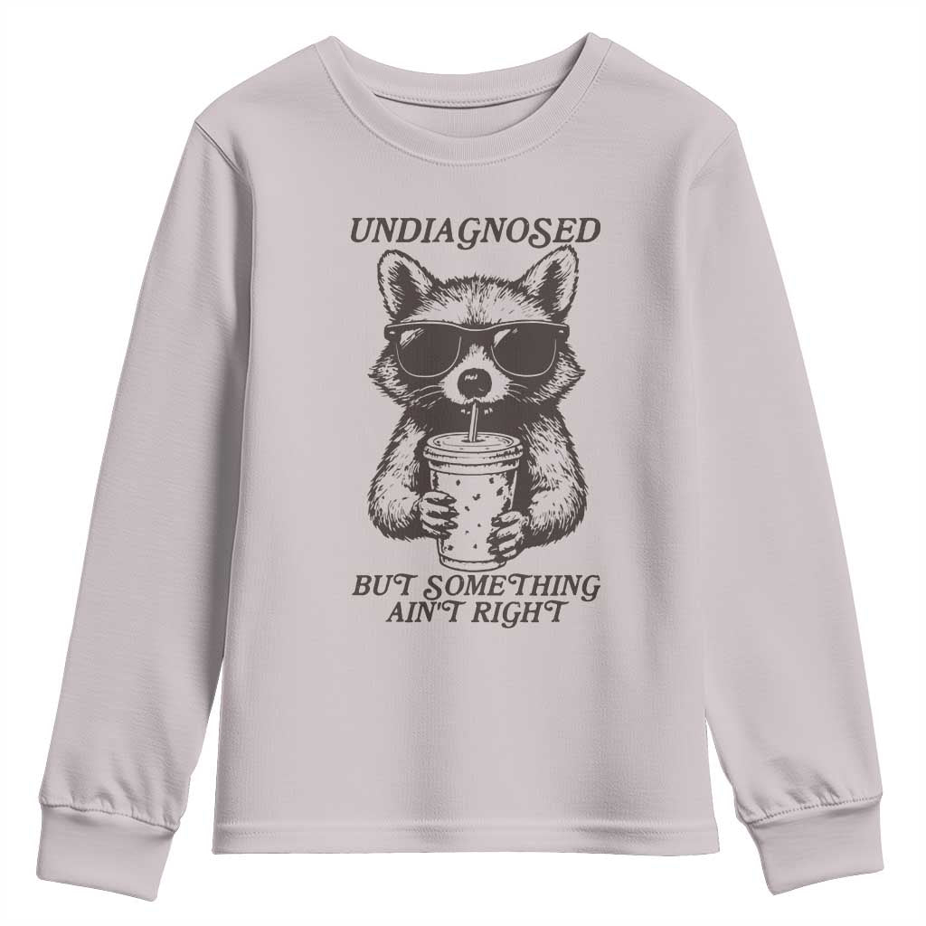 Undiagnosed But Something Aint Right Youth Sweatshirt Funny Racoon Saying - Wonder Print Shop
