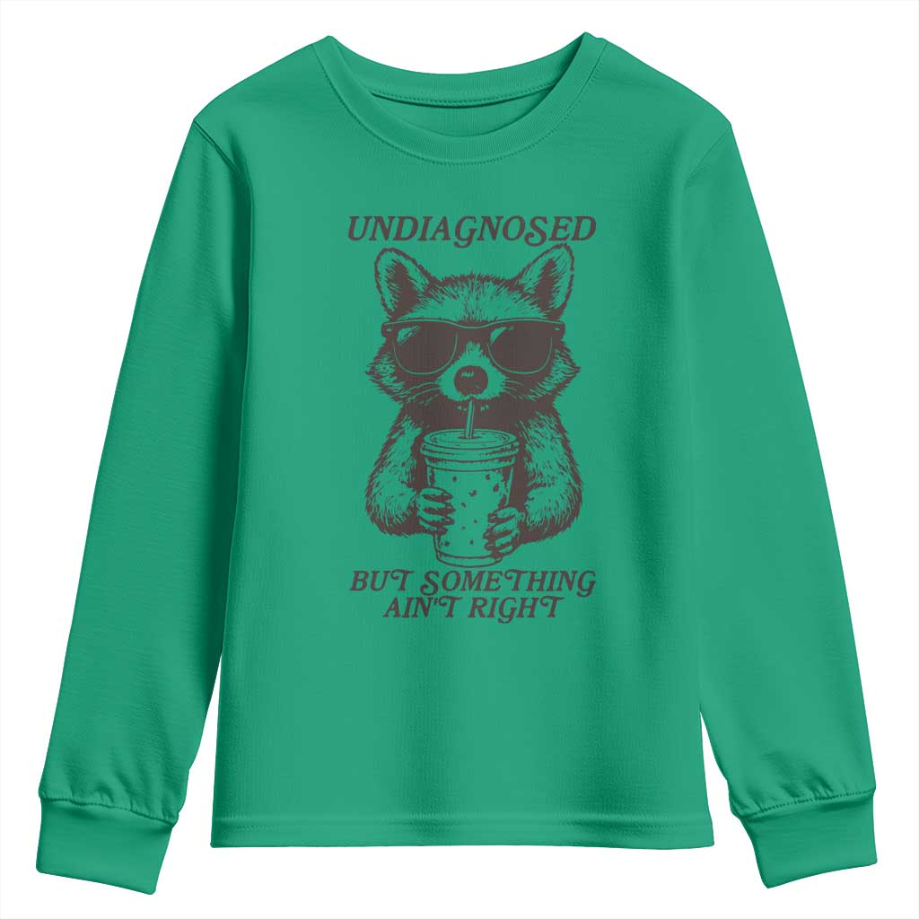Undiagnosed But Something Aint Right Youth Sweatshirt Funny Racoon Saying - Wonder Print Shop