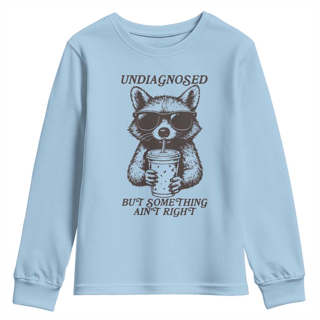 Undiagnosed But Something Aint Right Youth Sweatshirt Funny Racoon Saying - Wonder Print Shop