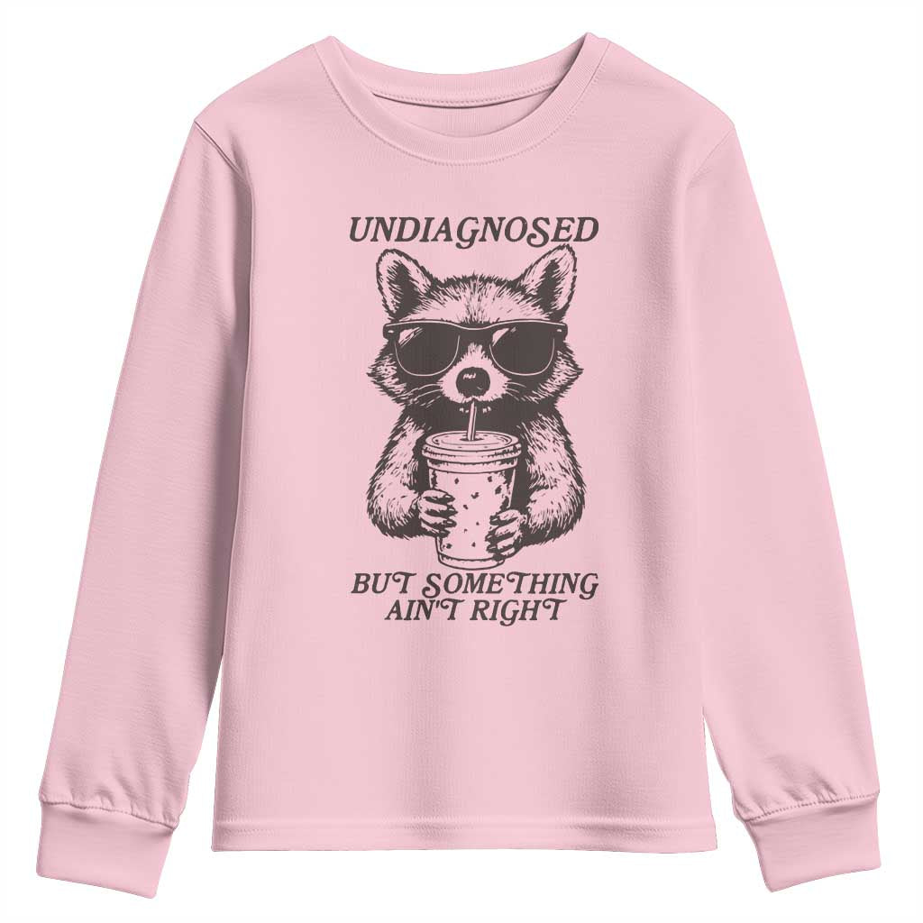 Undiagnosed But Something Aint Right Youth Sweatshirt Funny Racoon Saying - Wonder Print Shop