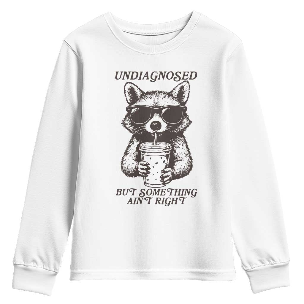Undiagnosed But Something Aint Right Youth Sweatshirt Funny Racoon Saying - Wonder Print Shop