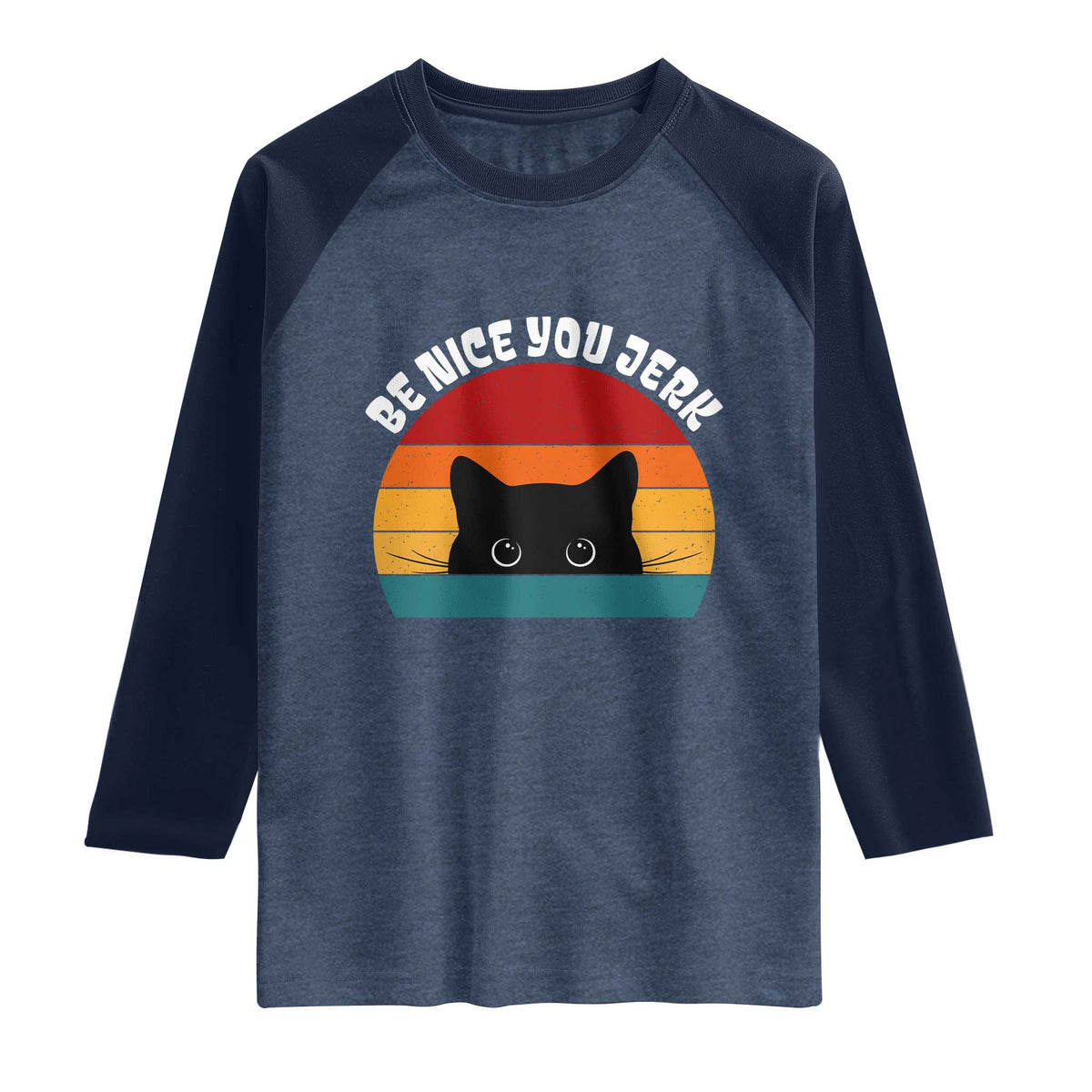 Be Nice You Jerk Raglan Shirt Funny Cat Sarcastic Quote