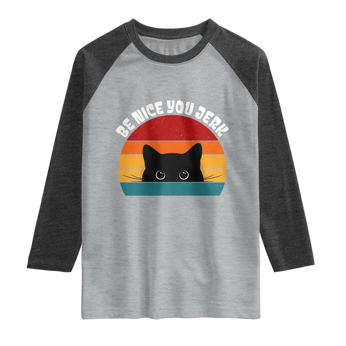 Be Nice You Jerk Raglan Shirt Funny Cat Sarcastic Quote