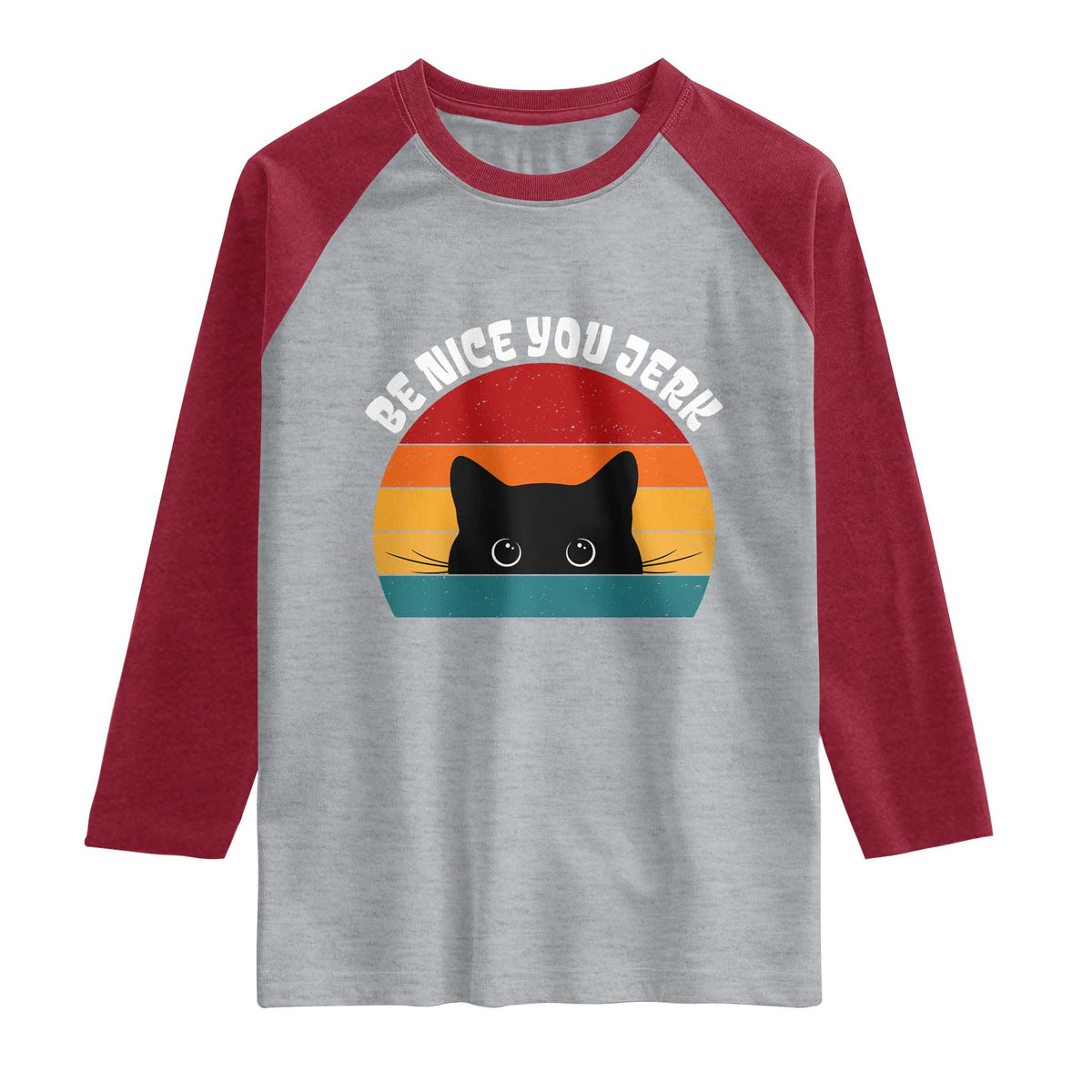 Be Nice You Jerk Raglan Shirt Funny Cat Sarcastic Quote