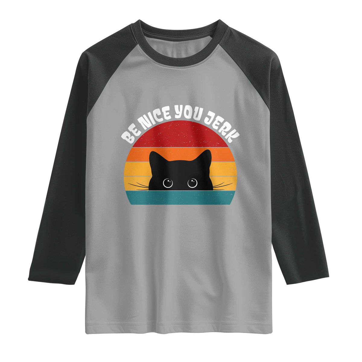 Be Nice You Jerk Raglan Shirt Funny Cat Sarcastic Quote