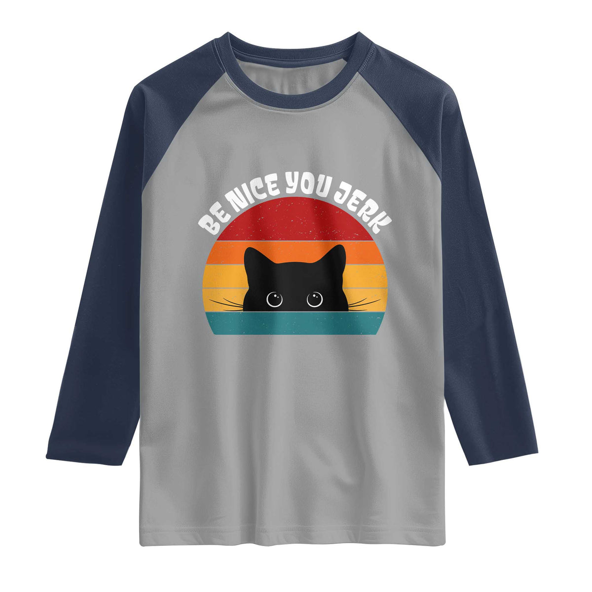 Be Nice You Jerk Raglan Shirt Funny Cat Sarcastic Quote