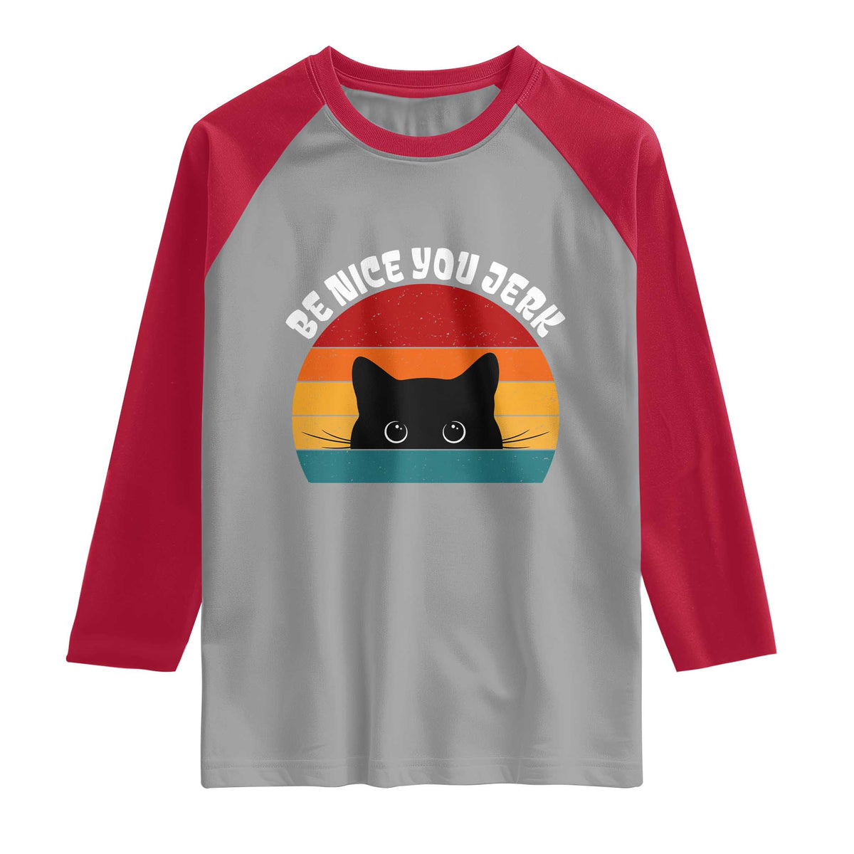 Be Nice You Jerk Raglan Shirt Funny Cat Sarcastic Quote