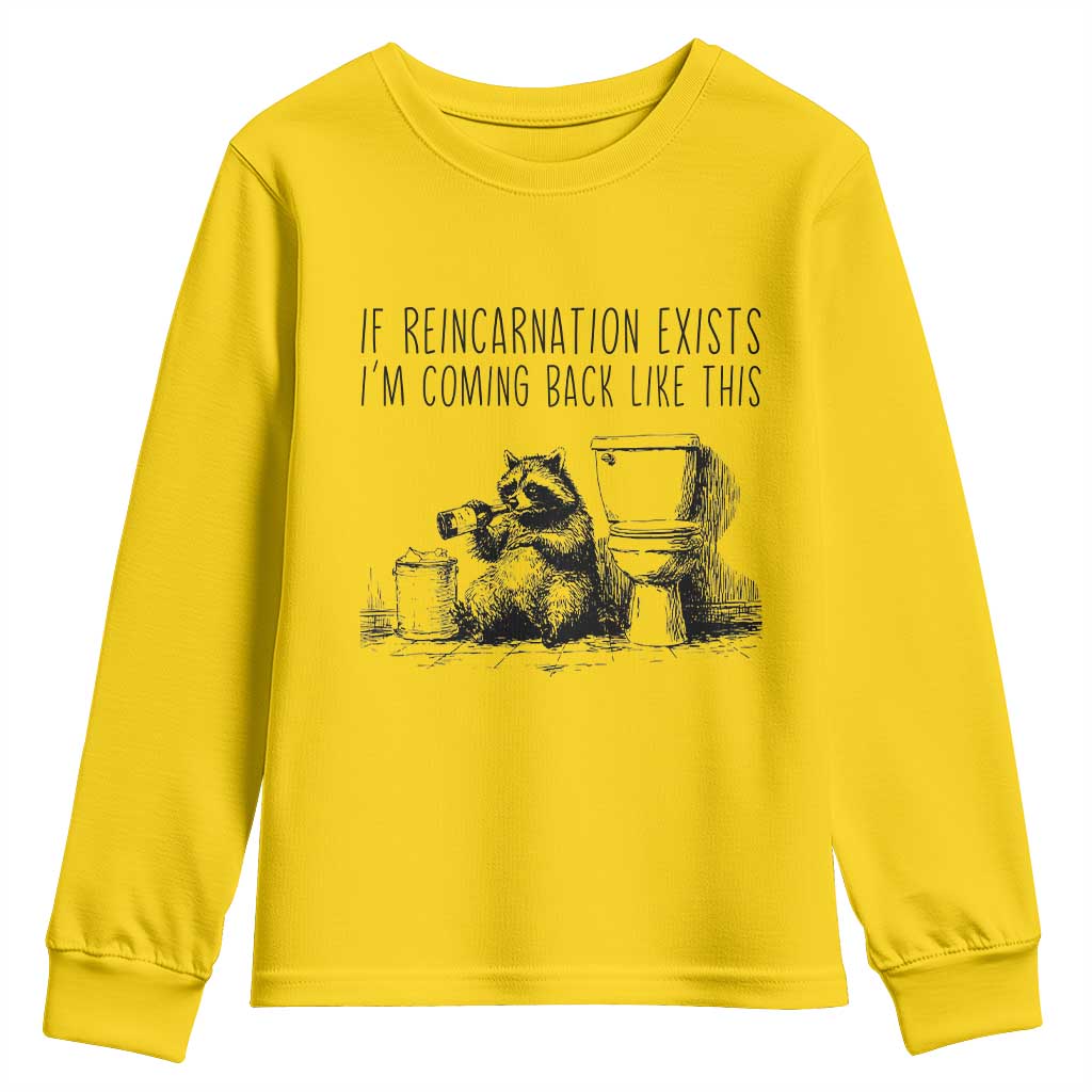Funny Drunk Raccoon Youth Sweatshirt Trashed Panda Meme - Wonder Print Shop