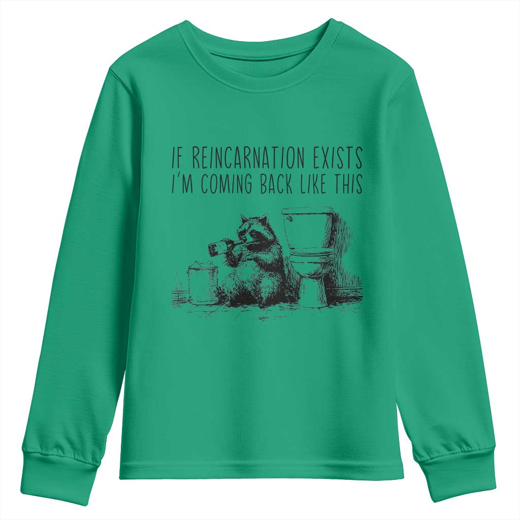 Funny Drunk Raccoon Youth Sweatshirt Trashed Panda Meme - Wonder Print Shop
