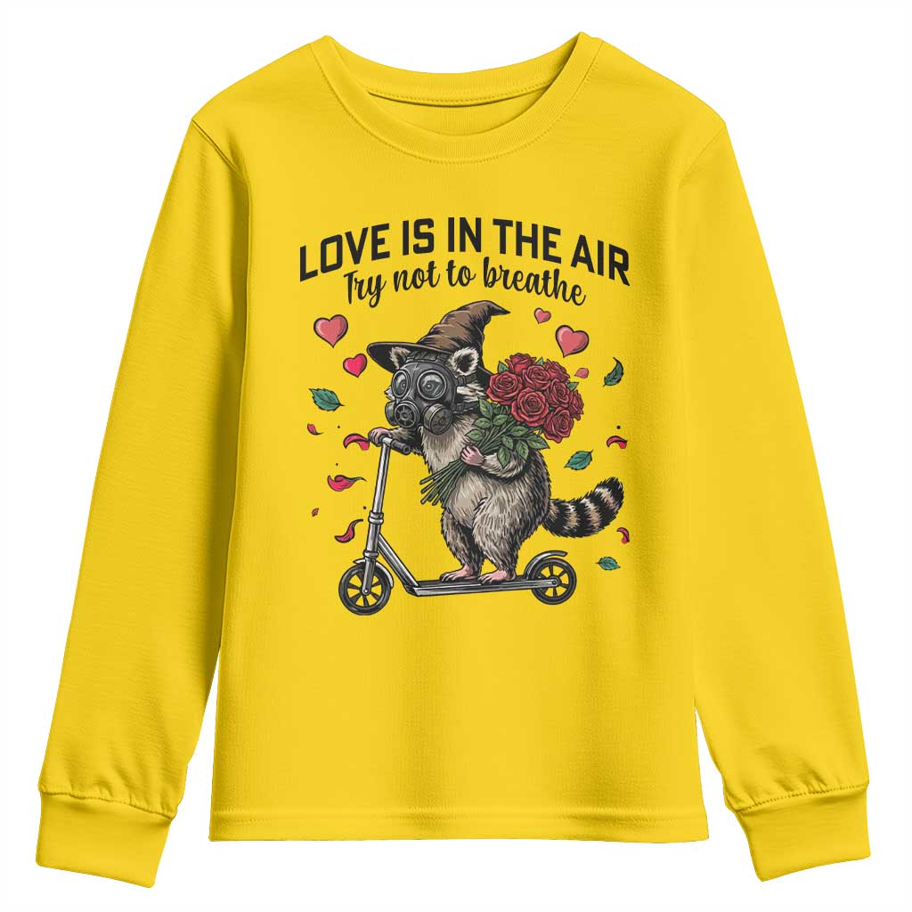 Funny Raccoon Scooter Anti Valentine Youth Sweatshirt Love Is In The Air Try Not To Breathe - Wonder Print Shop