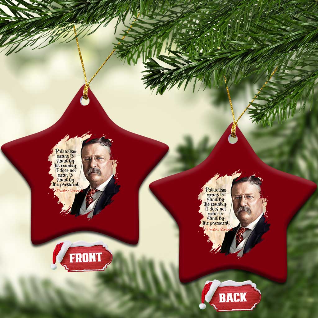 Theodore Roosevelt Quote Ceramic Ornament American History Presidents Day