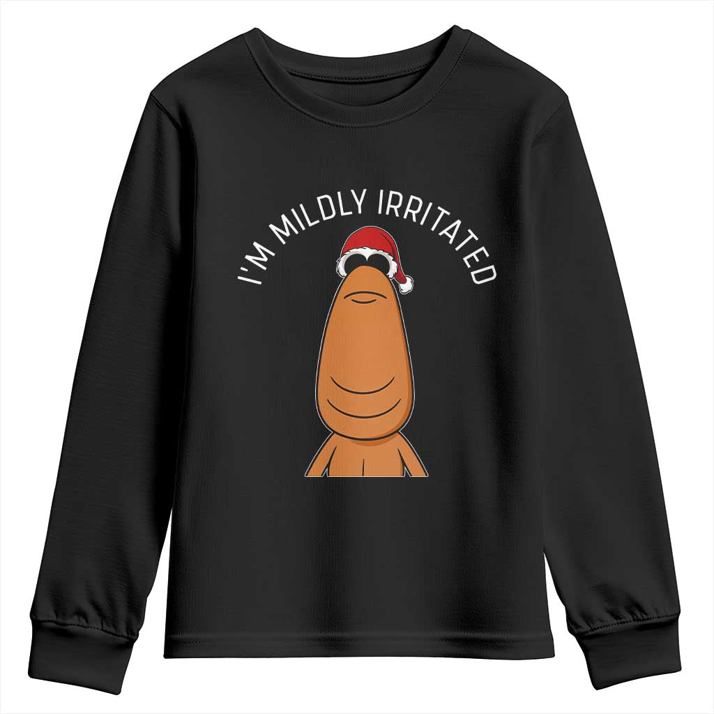 Marcus The Worm Christmas Meme Youth Sweatshirt I Am Mildly Irritated - Wonder Print Shop