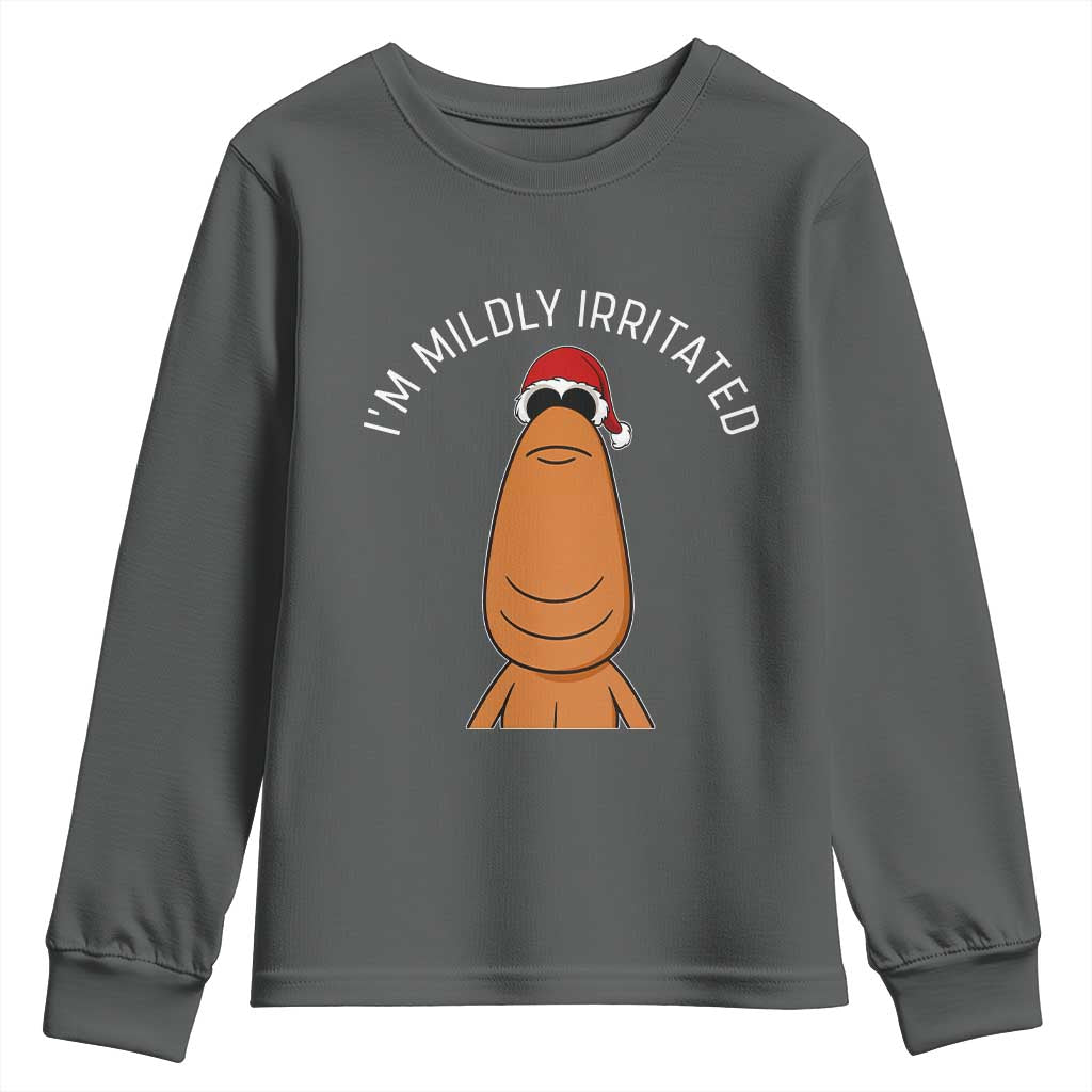 Marcus The Worm Christmas Meme Youth Sweatshirt I Am Mildly Irritated - Wonder Print Shop