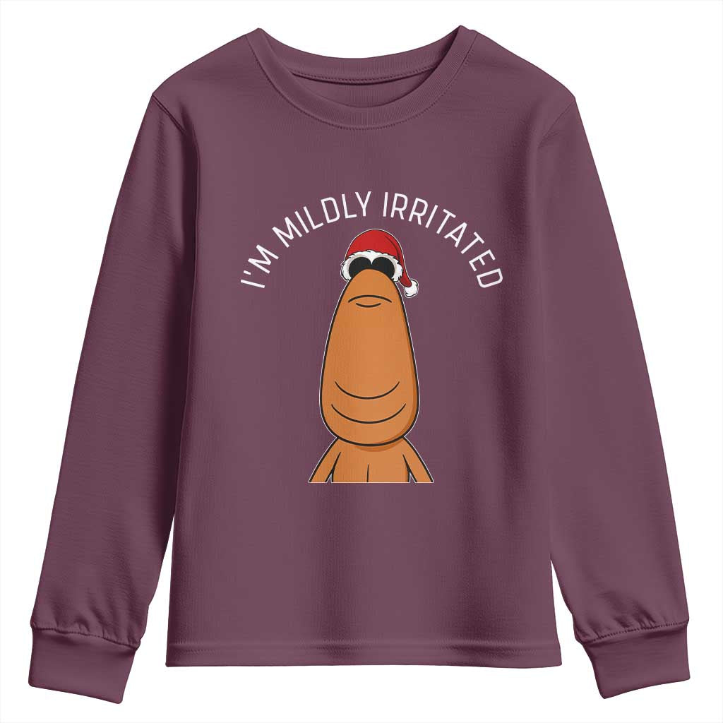 Marcus The Worm Christmas Meme Youth Sweatshirt I Am Mildly Irritated - Wonder Print Shop