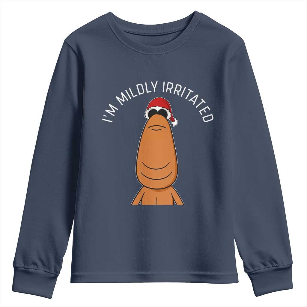 Marcus The Worm Christmas Meme Youth Sweatshirt I Am Mildly Irritated - Wonder Print Shop
