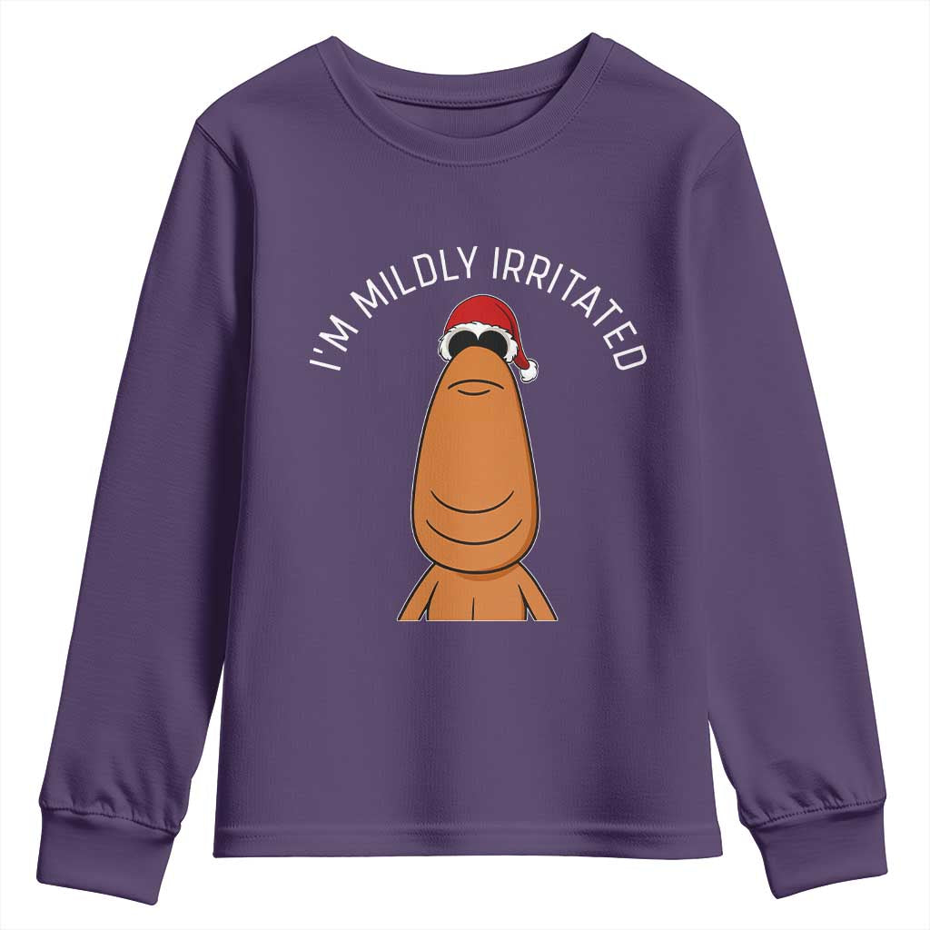 Marcus The Worm Christmas Meme Youth Sweatshirt I Am Mildly Irritated - Wonder Print Shop