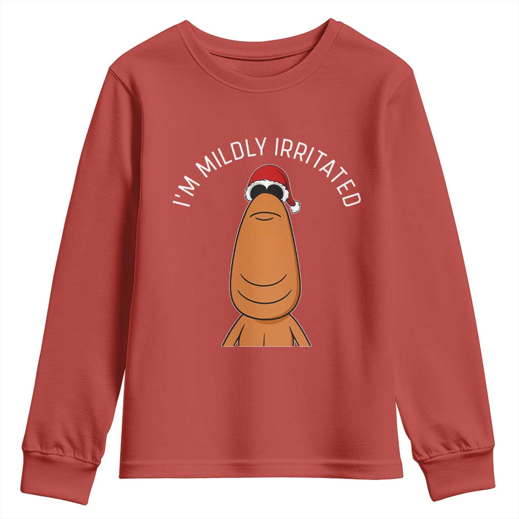 Marcus The Worm Christmas Meme Youth Sweatshirt I Am Mildly Irritated - Wonder Print Shop