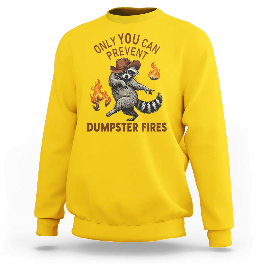 Only You Can Prevent Dumpster Fires Sweatshirt Funny Raccoon Sarcastic Humor
