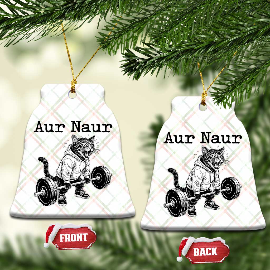 Aur Naur Raccoon Meme Ceramic Ornament Funny Sarcastic Oh No Australian Accent