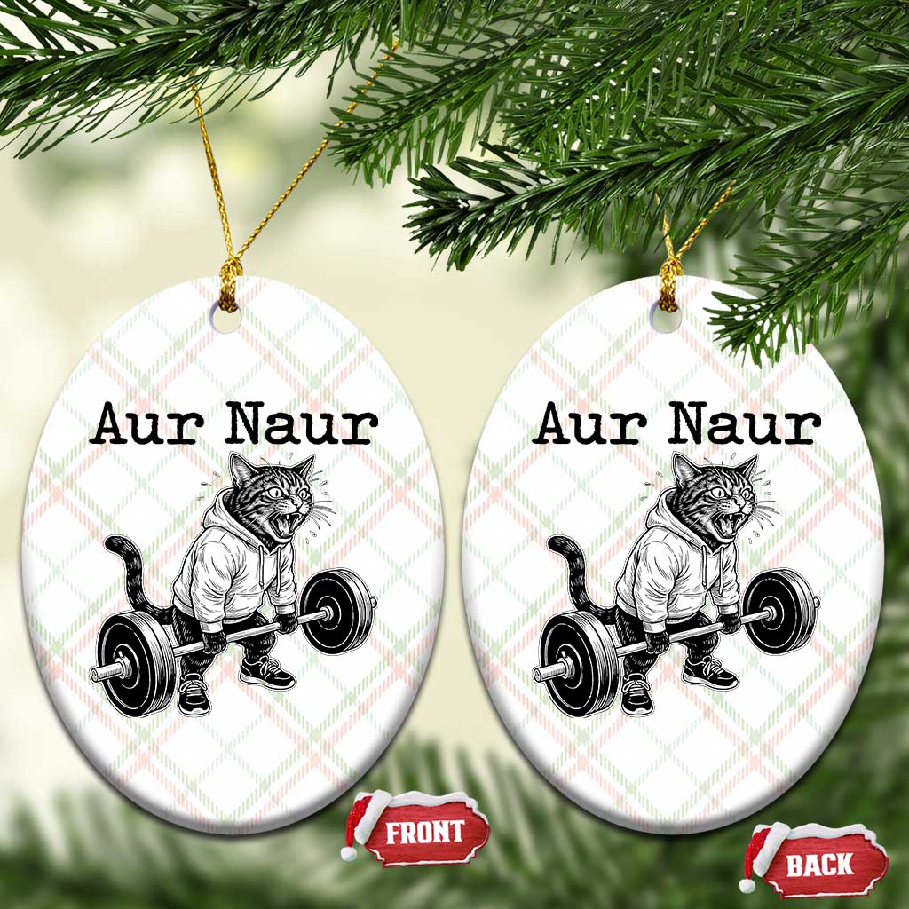 Aur Naur Raccoon Meme Ceramic Ornament Funny Sarcastic Oh No Australian Accent