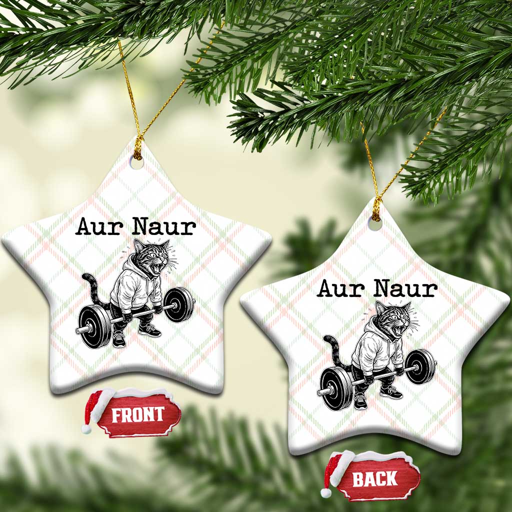 Aur Naur Raccoon Meme Ceramic Ornament Funny Sarcastic Oh No Australian Accent