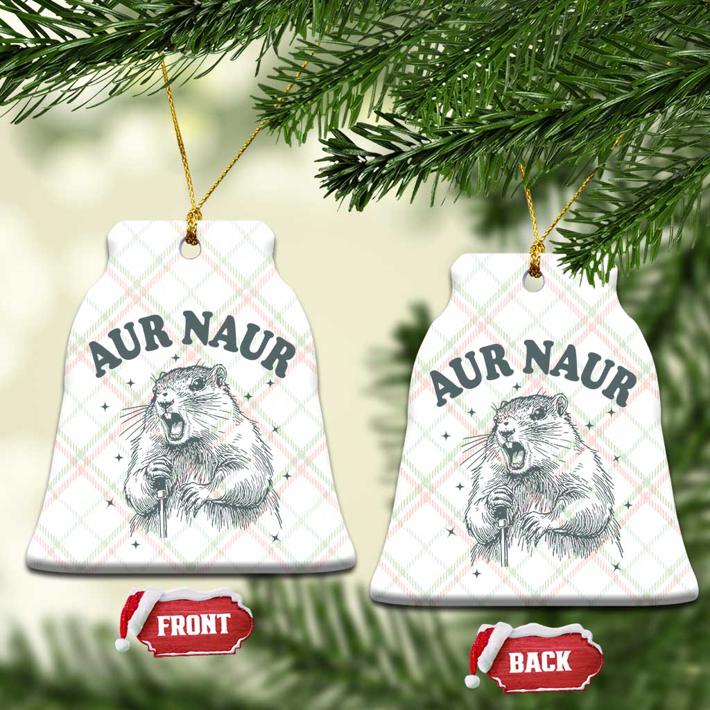 Aur Naur Raccoon St Patricks Day Ceramic Ornament Funny Sarcastic Oh No Australian Accent
