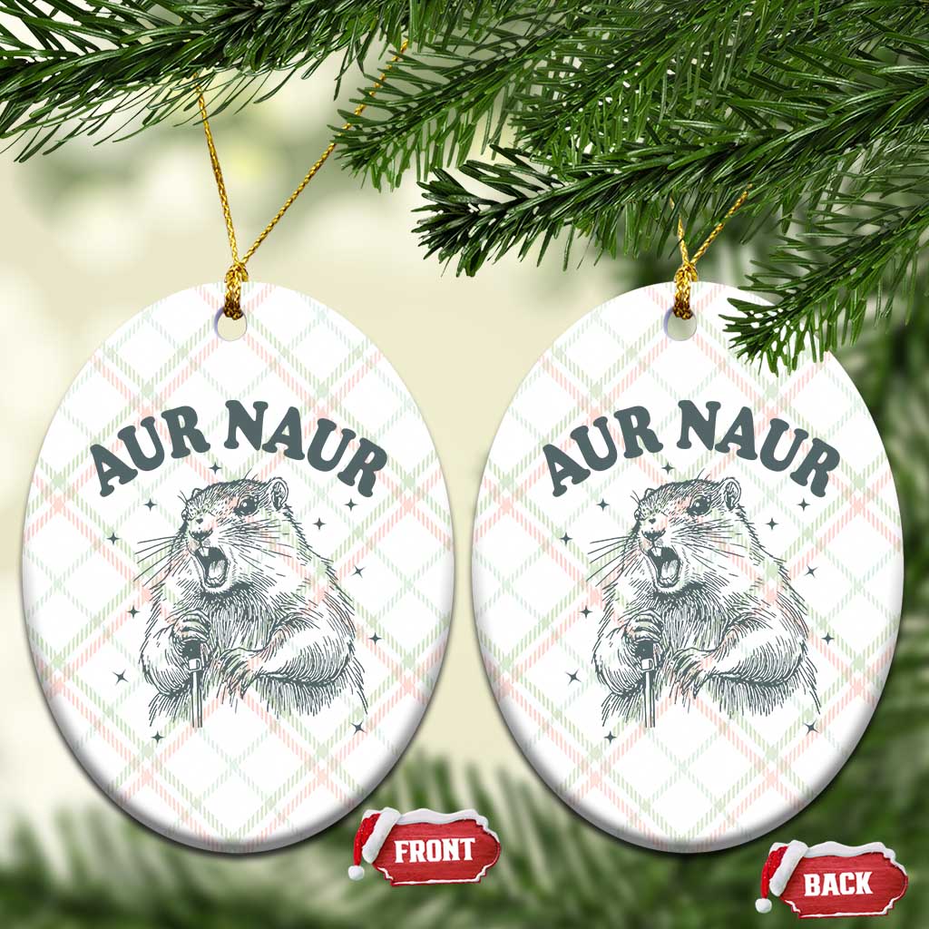 Aur Naur Raccoon St Patricks Day Ceramic Ornament Funny Sarcastic Oh No Australian Accent