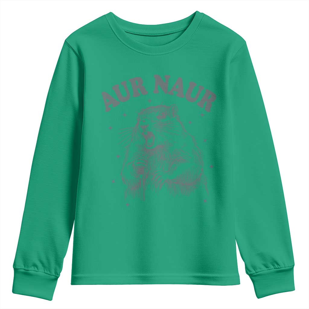 Aur Naur Raccoon St Patricks Day Youth Sweatshirt Funny Sarcastic Oh No Australian Accent