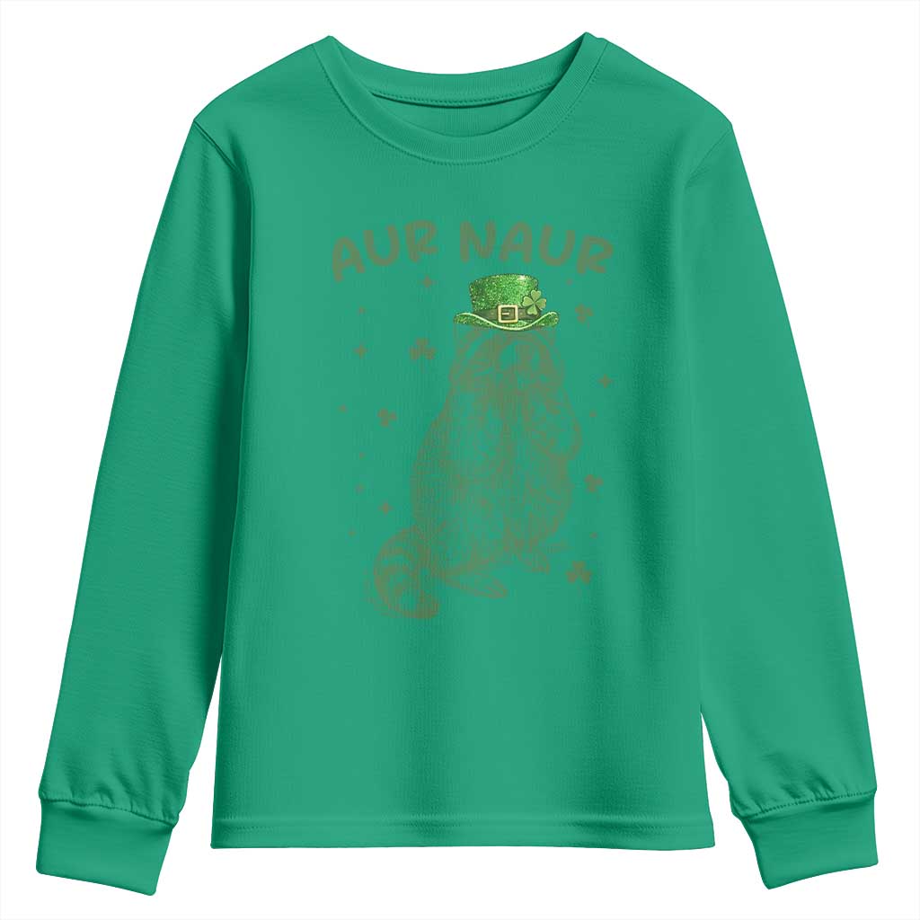 Aur Naur Cowboy Raccoon Meme Youth Sweatshirt Funny Sarcastic Oh No Australian Accent