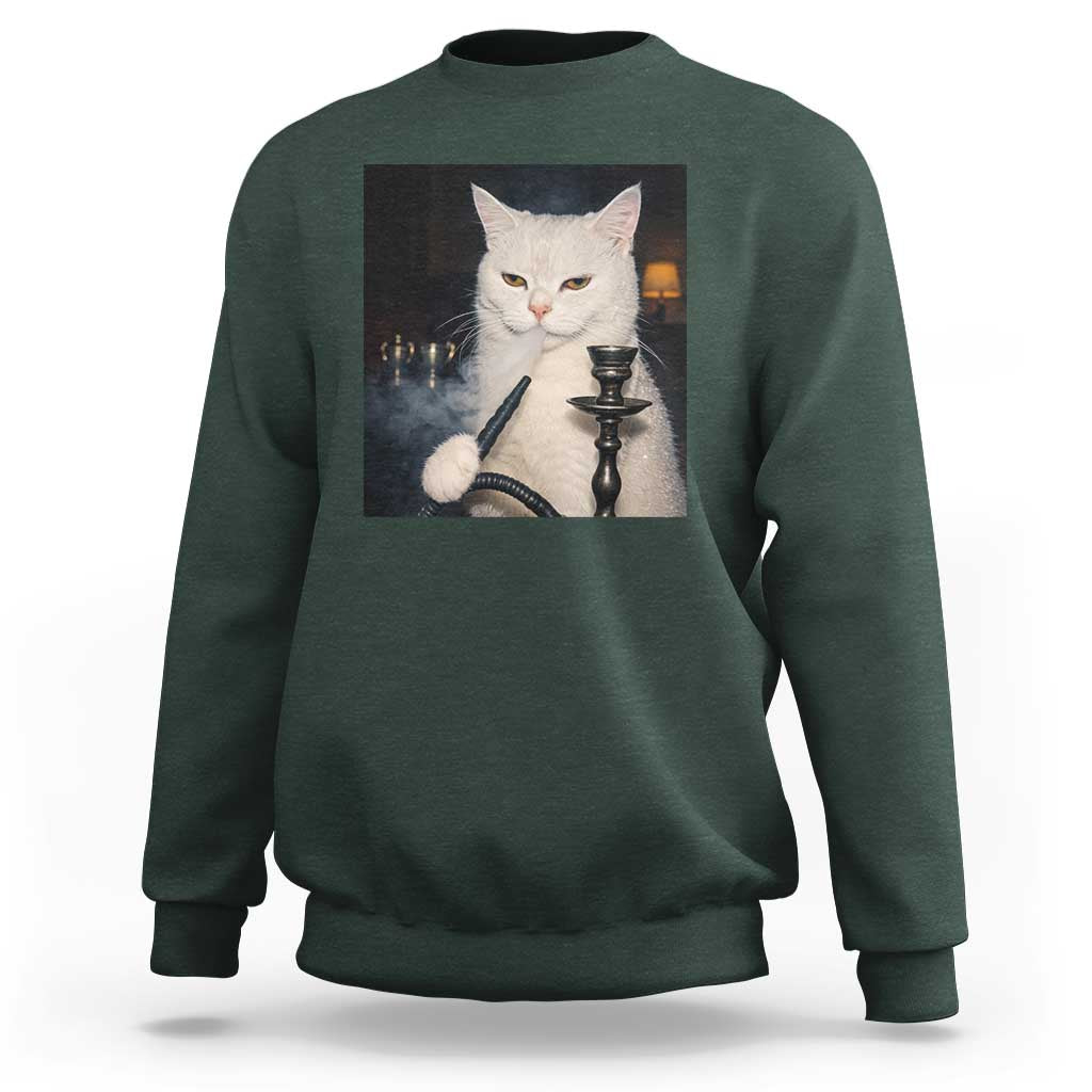 Funny Stoner Cat Sweatshirt 420 Stoner Smoking Cat Cannabis Lover Meme