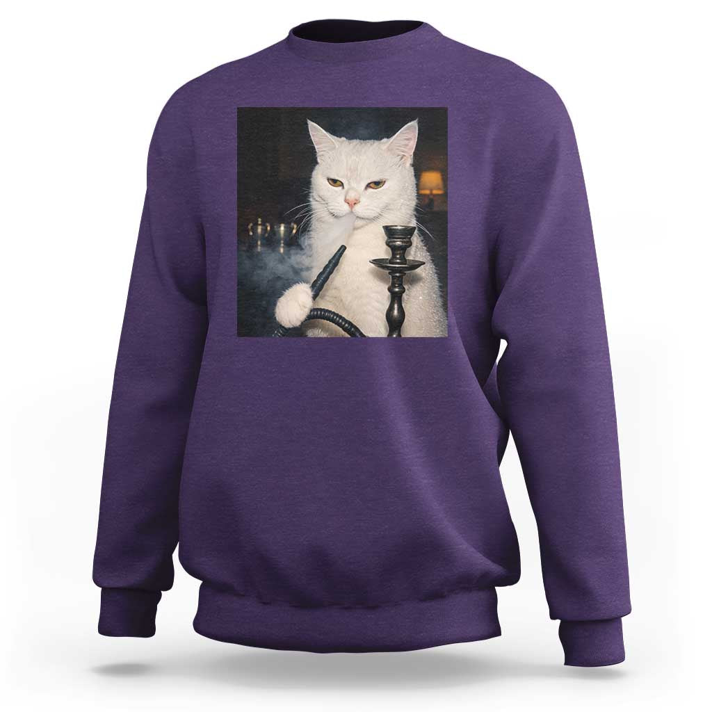Funny Stoner Cat Sweatshirt 420 Stoner Smoking Cat Cannabis Lover Meme