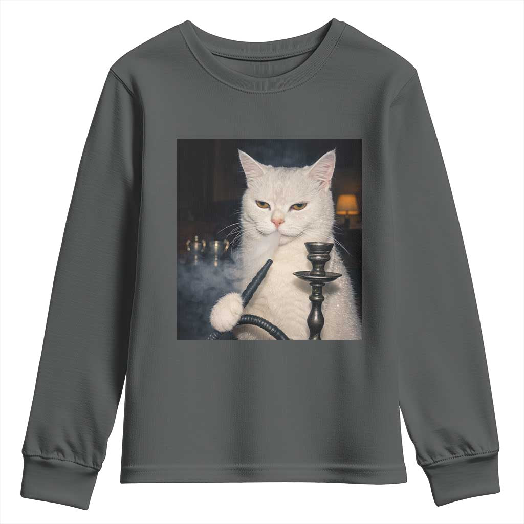 Funny Stoner Cat Youth Sweatshirt 420 Stoner Smoking Cat Cannabis Lover Meme